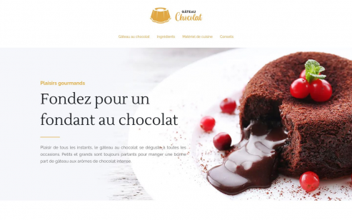 https://www.gateau-chocolat.info